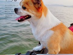 -青岛第三海水浴场