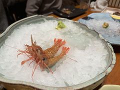 -月龍吟(朝龙汇店)
