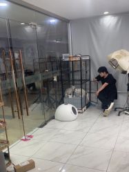 -镁连社·美联社