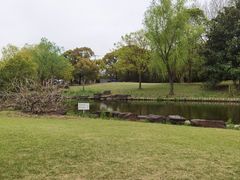 -上海滨江森林公园