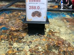 -盒马鲜生(皇庭广场店)
