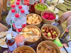 -春花秋色城市公园