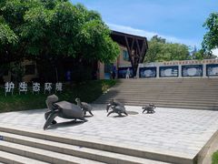 -广东惠东海龟国家级自然保护区