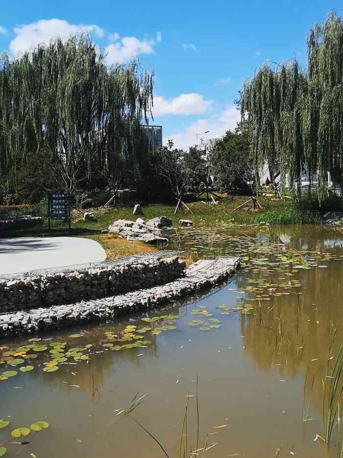 黄村公园-"附近的居民选择并不多,小小的公园亮晃晃的.