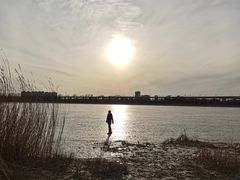 -绿堤公园