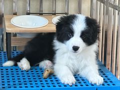 -美联众合24小时·皮肤科·外科·全科诊疗中心(华苑分院)