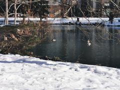 -北海道厅旧本厅舍(旧本庁舎)