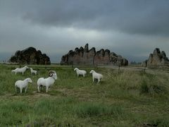 -敕勒川草原文化旅游区