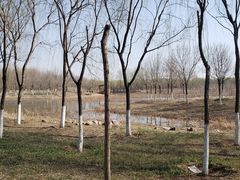 -东郊湿地公园