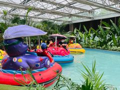 -南宫五洲植物乐园