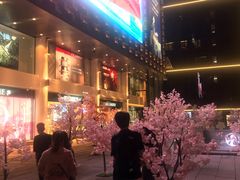 -大洋晶典(东街店)