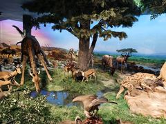 -国家自然博物馆