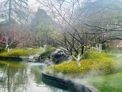 -浙江宾馆·花园餐厅·自助餐厅·茶吧