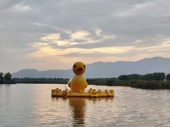 -野鸭湖国家湿地公园