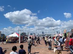 -台场海滨公园船码头