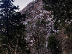 -北京鹫峰国家森林公园