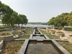 -上海都市菜园