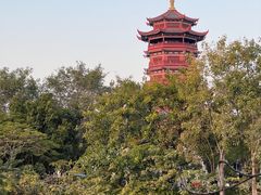 -厦门园林博览苑
