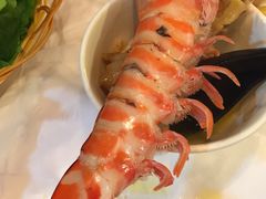 -鲜入围煮花胶鸡海鲜火锅