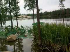 -飞来湖湿地公园