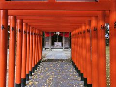 -水前寺成趣园