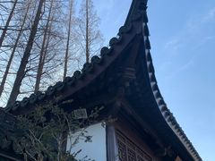 -上海醉白池公园