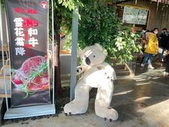 -了不起的考拉咖啡店(高新店)