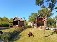 -上海野生动物园