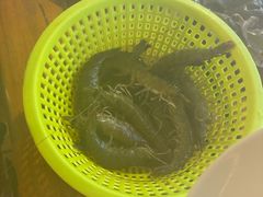 -渔家火锅·海鲜自助餐·演艺(亚龙湾天域酒店)