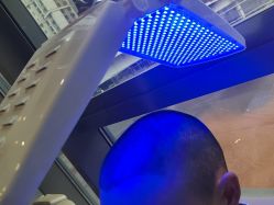 -碧莲盛·不剃发植发