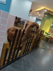 -Moni星球萌宠·小马宝莉·灵蛇·高端高阶全萌宠互动体验俱乐部(红豆国际广场店)