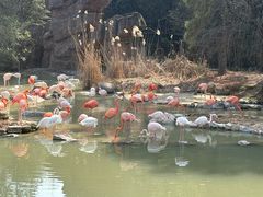-宁波野生动物园