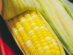 -光明刘冰乳鸽店(光明法政北路店)