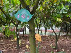 -歌斐颂巧克力小镇