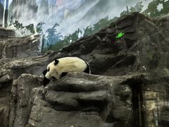 -鄂尔多斯野生动物园