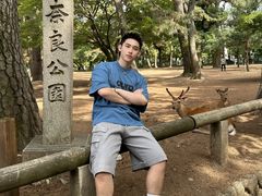 -奈良公园