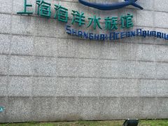 -上海海洋水族馆