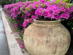 -成都南湖公园