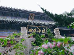 -潭柘寺景区