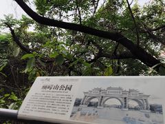 -佛山华盖山公园