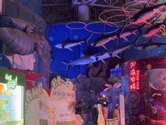 -烟台海昌鲸鲨海洋公园