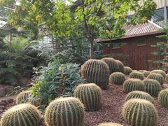 -呀路古热带植物园
