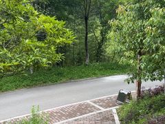 -卧龙中华大熊猫苑神树坪基地