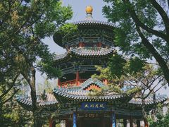 -迎泽公园