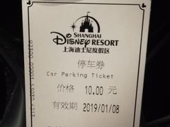 -迪士尼乐园停车场
