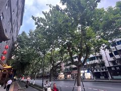 -成都蓝城悦杏温泉美食酒店(宽窄巷子店)