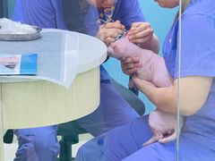 -天宠宠物医院24小时·急重症诊疗中心·全科·腔镜特色(和平分院)