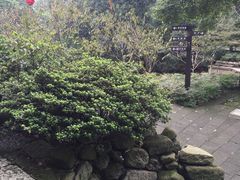 -重庆抗战遗址博物馆