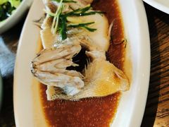 -大鸽饭(马王堆店)
