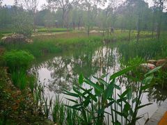 -昆山城市生态森林公园